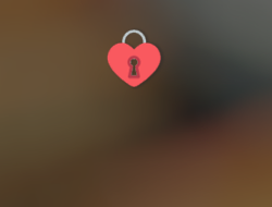 Locked Content